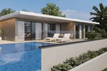 M816 Animation M816 Animation