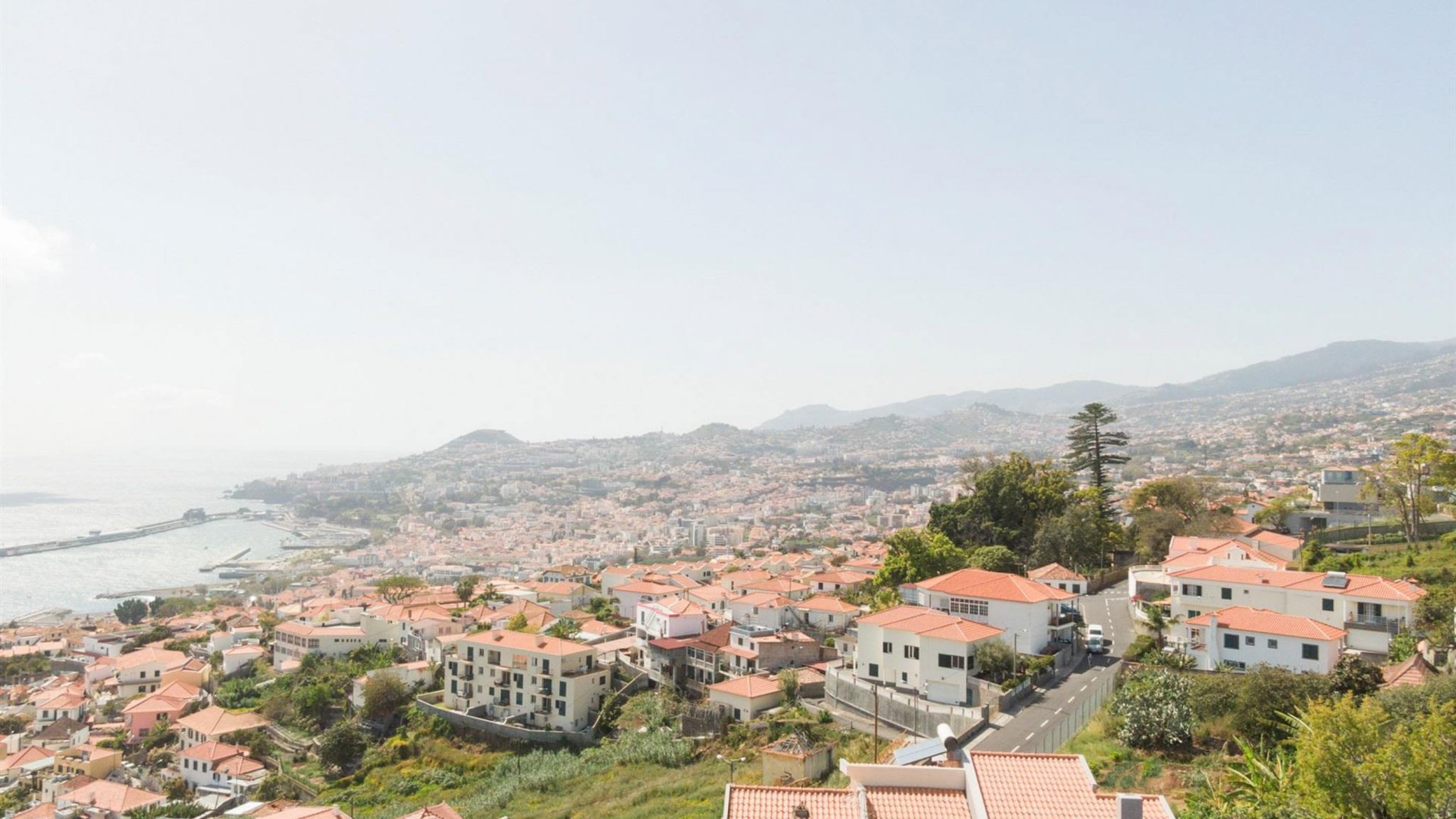 M667 View on Funchal
